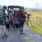 shetland2014-13.jpg