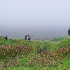 shetland2014-18.jpg